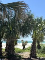 IMG_0560.jpg