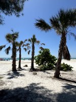 IMG_0564.jpg