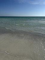 IMG_0730.jpg