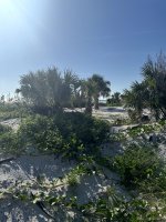 IMG_0744.jpg
