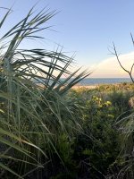 IMG_0768.jpg