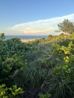 IMG_0769.jpg
