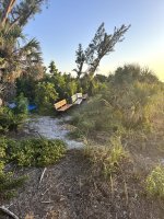 IMG_0771.jpg