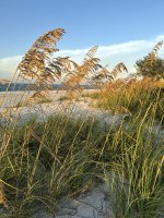 IMG_0773.jpg