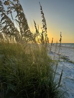 IMG_0775.jpg