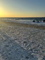IMG_0779.jpg