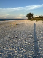 IMG_0780.jpg