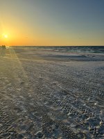 IMG_0782.jpg
