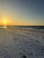 IMG_0784.jpg
