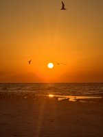 IMG_0805.jpg