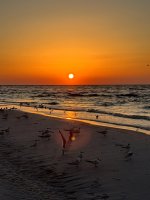 IMG_0806.jpg