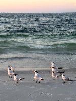 IMG_0809.jpg