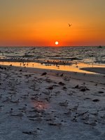 IMG_0816.jpg