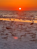 IMG_0820.jpg