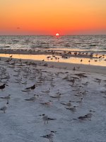 IMG_0833.jpg