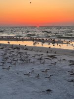 IMG_0839.jpg
