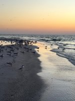 IMG_0875.jpg