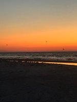 IMG_0940.jpg