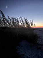 IMG_0950.jpg