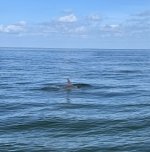 IMG_1002.jpg