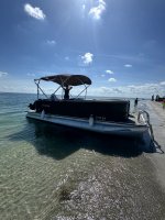 IMG_1036.jpg