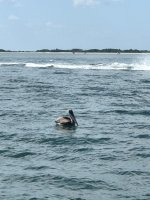 IMG_1068.jpg
