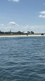 IMG_1104.jpg