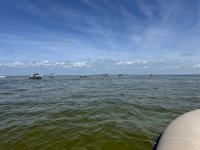 IMG_1109.jpg