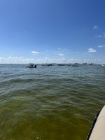 IMG_1111.jpg