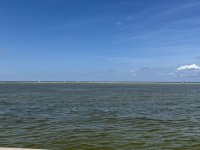 IMG_1113.jpg