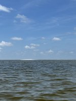 IMG_1123.jpg