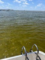 IMG_1144.jpg