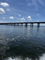 IMG_1198.jpg