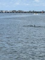 IMG_1223.jpg