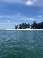 IMG_1290.jpg