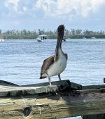 IMG_1293.jpg