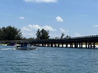 IMG_1294.jpg