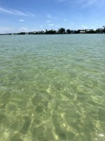 IMG_1306.jpg