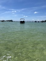 IMG_1312.jpg