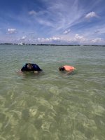 IMG_1314.jpg