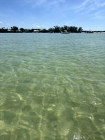 IMG_1319.jpg