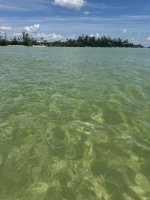 IMG_1339.jpg
