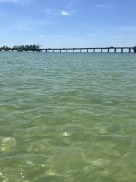 IMG_1345.jpg