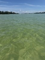 IMG_1352.jpg