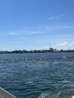 IMG_1403.jpg
