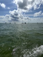 IMG_1441.jpg