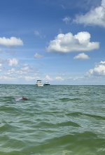 IMG_1452.jpg