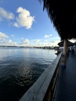 IMG_1542.jpg