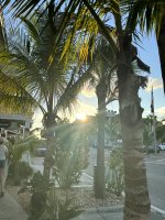 IMG_1559.jpg