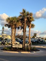IMG_1568.jpg